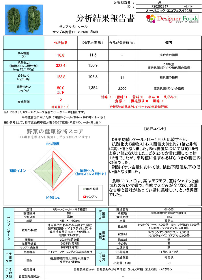 ケール分析結果